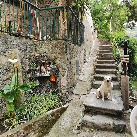 Itaca Hotel Varazze Ngoại thất bức ảnh